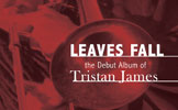 Leaves Fall CD release plugger